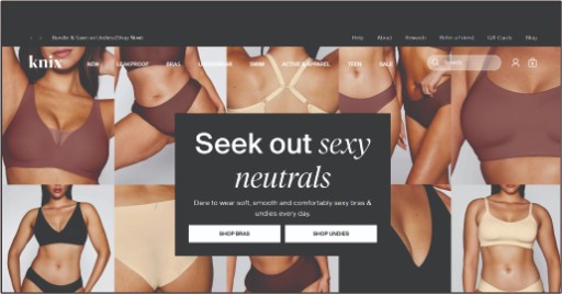 Availability of Knix Bras On Online Shops